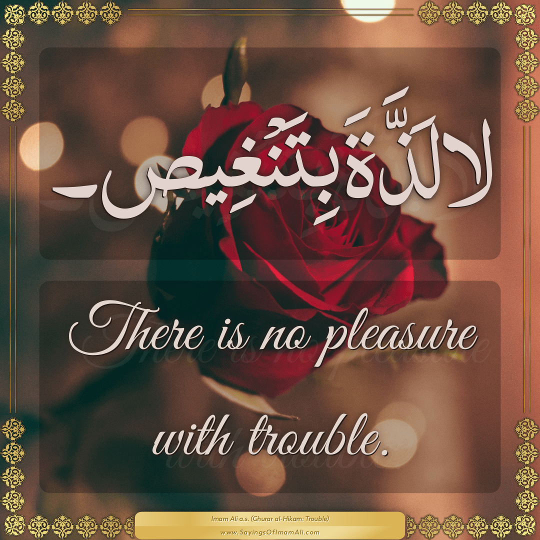 There is no pleasure with trouble.